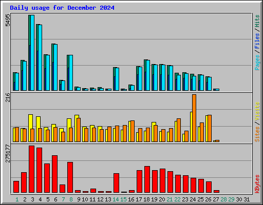 Daily usage for December 2024