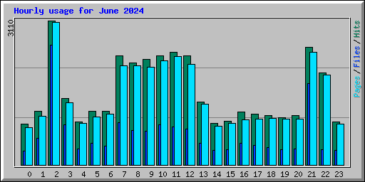 Hourly usage for June 2024