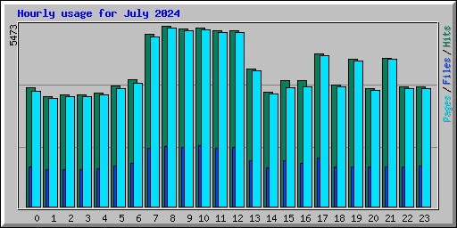 Hourly usage for July 2024