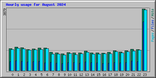 Hourly usage for August 2024