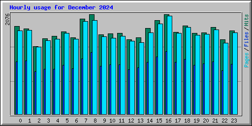 Hourly usage for December 2024