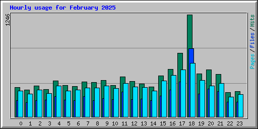 Hourly usage for February 2025